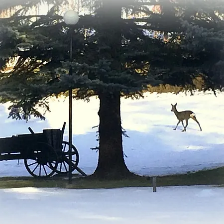 Parkowa - Ze Sniadaniem נובה רודה