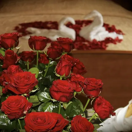 Parkowa - Ze Sniadaniem Aparthotel