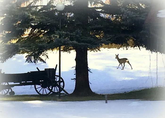 Parkowa - Ze Sniadaniem Nowa Ruda