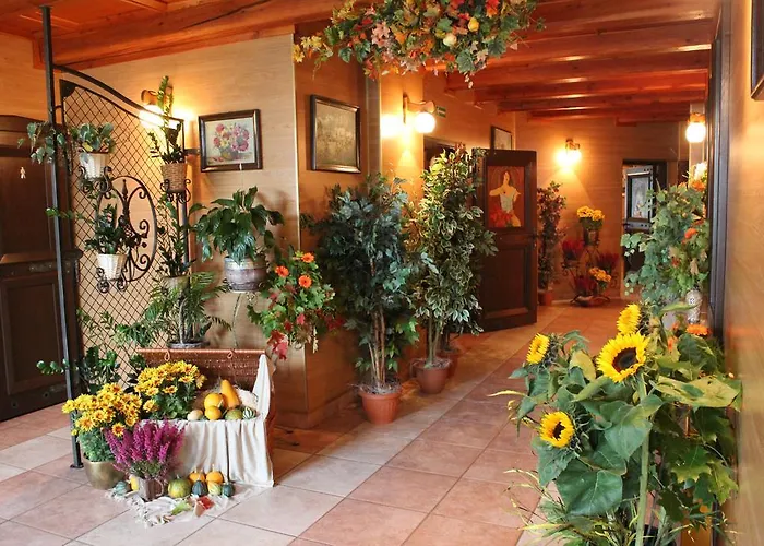 Parkowa - Noclegi Ze Sniadaniem